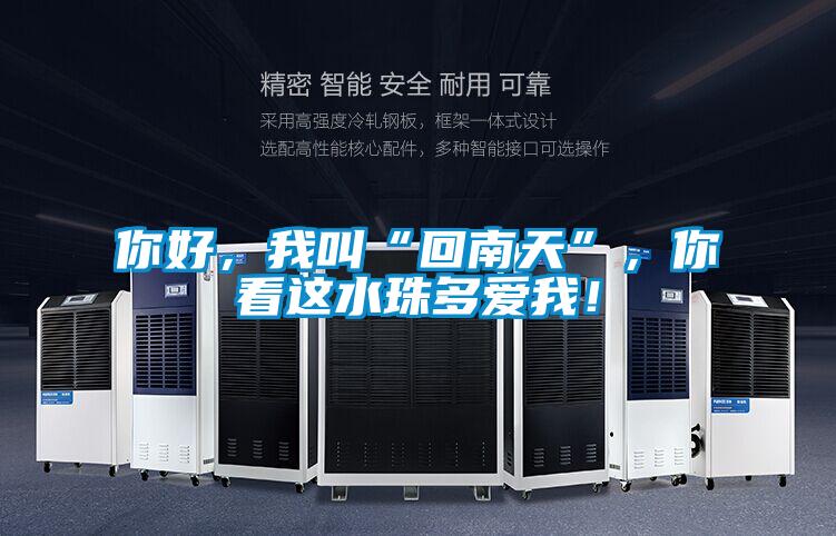你好，我叫“回南天”，你看這水珠多愛我！