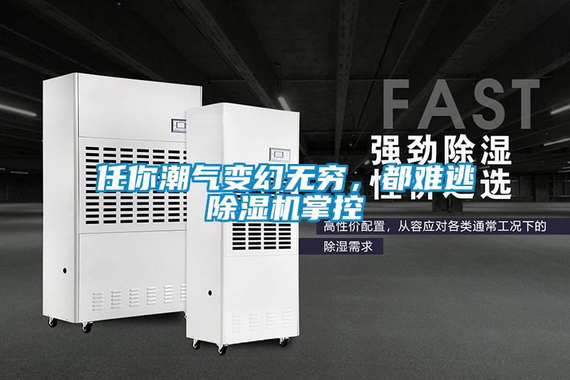 任你潮氣變幻無窮，都難逃除濕機掌控