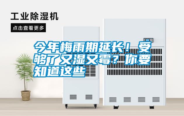 今年梅雨期延長！受夠了又濕又霉？你要知道這些