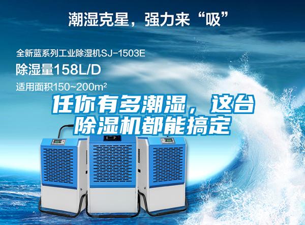 任你有多潮濕，這臺除濕機都能搞定