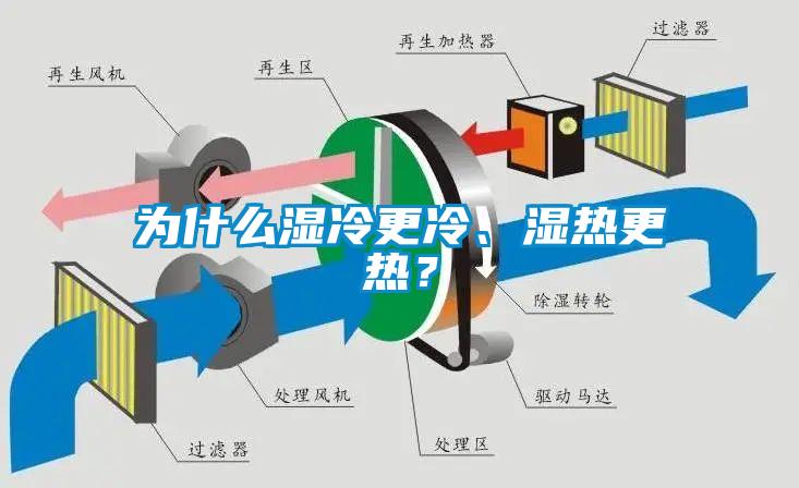 為什么濕冷更冷、濕熱更熱？