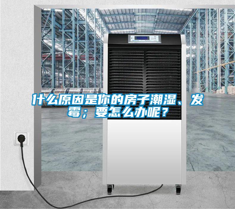 什么原因是你的房子潮濕、發霉；要怎么辦呢？