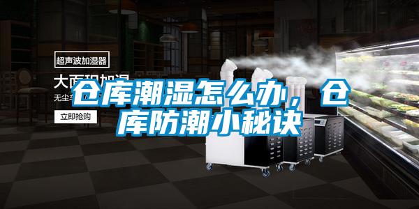 倉庫潮濕怎么辦，倉庫防潮小秘訣