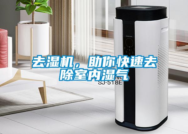 去濕機，助你快速去除室內濕氣