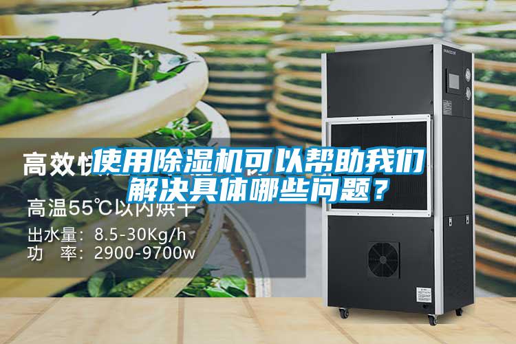 使用除濕機可以幫助我們解決具體哪些問題？