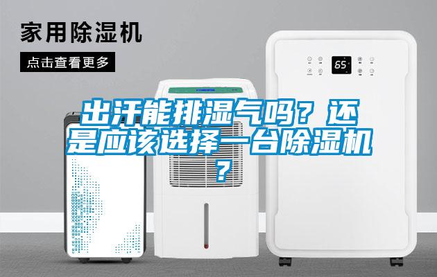 出汗能排濕氣嗎？還是應該選擇一臺除濕機？