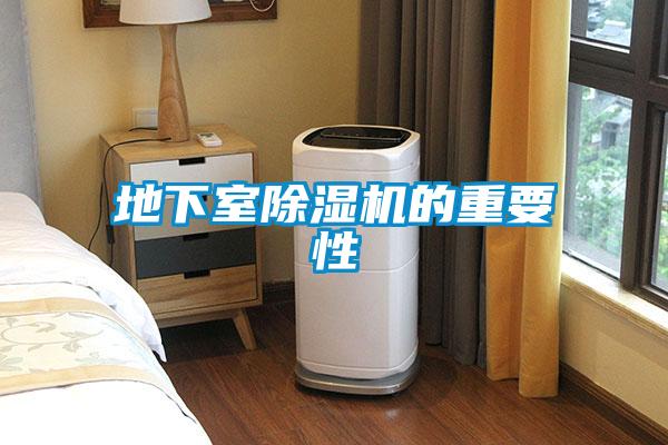 地下室除濕機(jī)的重要性