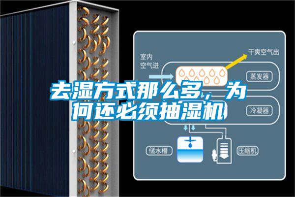 去濕方式那么多，為何還必須抽濕機