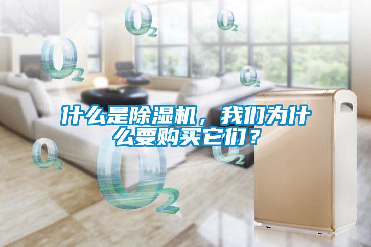 什么是除濕機(jī)，我們?yōu)槭裁匆徺I它們？