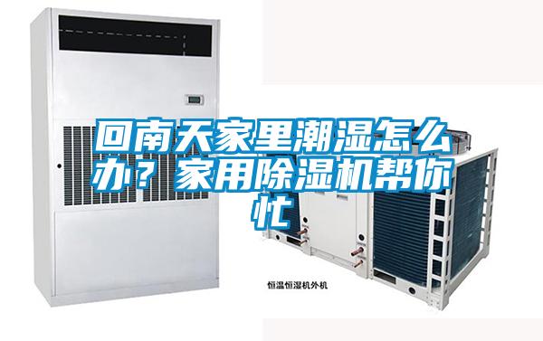 回南天家里潮濕怎么辦？家用除濕機幫你忙