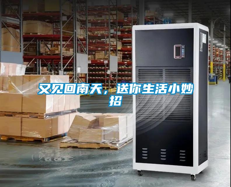 又見回南天，送你生活小妙招