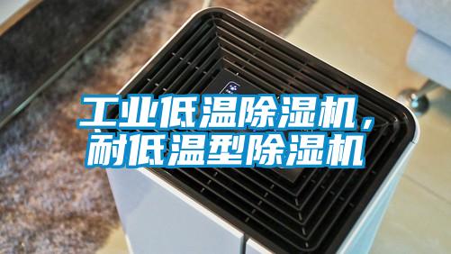 工業(yè)低溫除濕機，耐低溫型除濕機