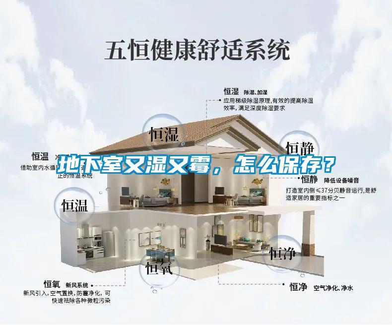 地下室又濕又霉，怎么保存？