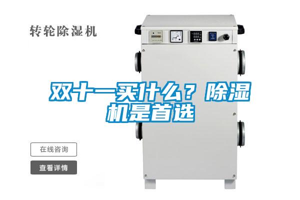 雙十一買什么？除濕機(jī)是首選