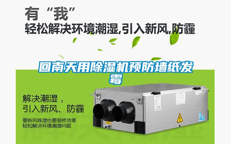 回南天用除濕機預防墻紙發(fā)霉