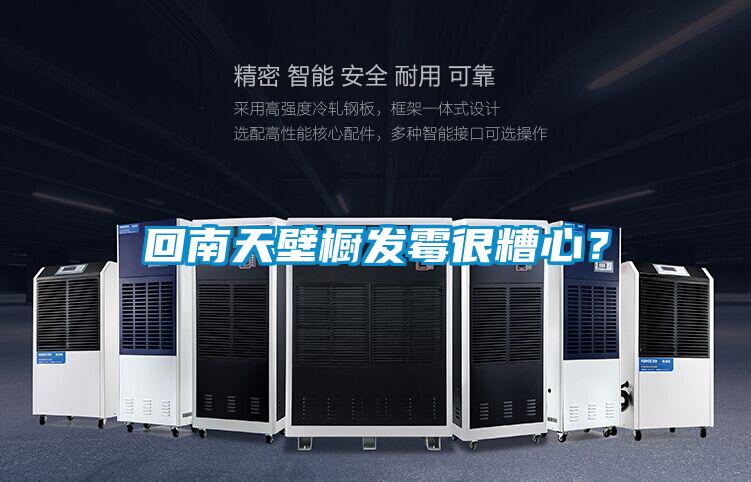 回南天壁櫥發霉很糟心？