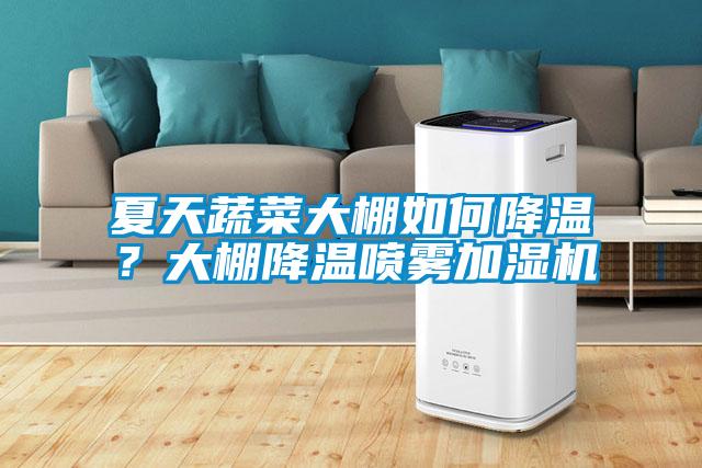 夏天蔬菜大棚如何降溫？大棚降溫噴霧加濕機(jī)