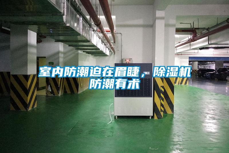 室內防潮迫在眉睫，除濕機防潮有術