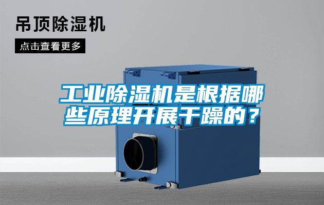 工業除濕機是根據哪些原理開展干躁的？