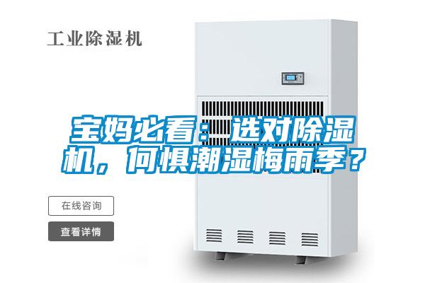 寶媽必看：選對除濕機，何懼潮濕梅雨季？