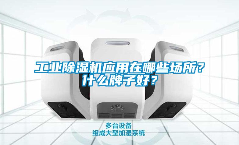 工業(yè)除濕機(jī)應(yīng)用在哪些場所？什么牌子好？
