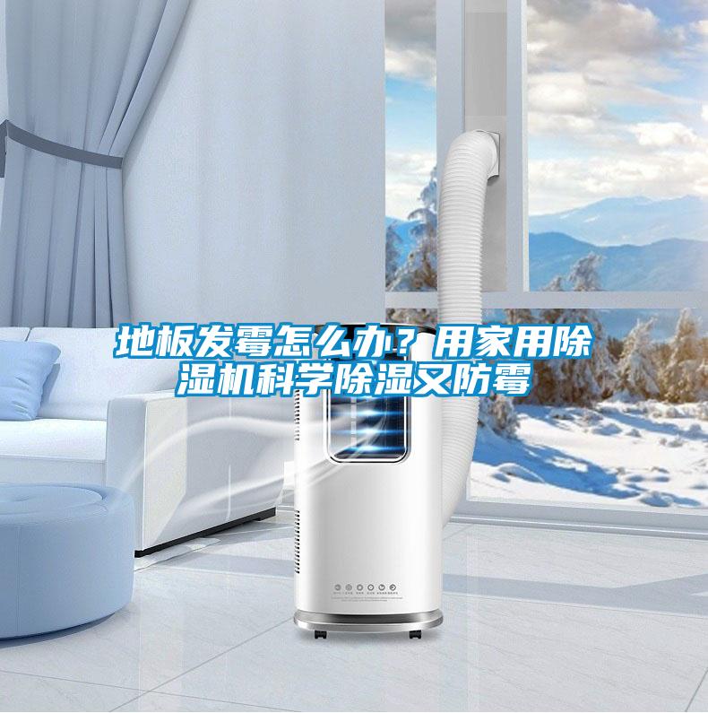 地板發(fā)霉怎么辦？用家用除濕機科學除濕又防霉