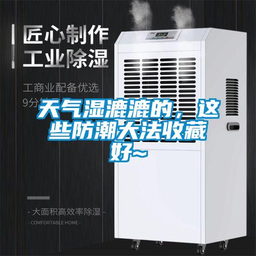 天氣濕漉漉的，這些防潮大法收藏好~