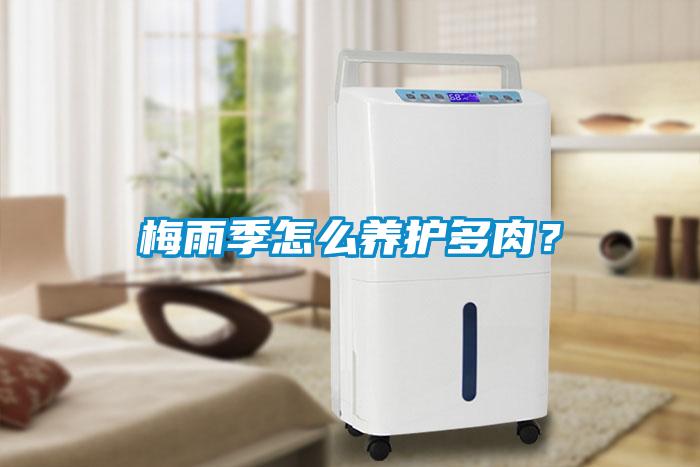 梅雨季怎么養(yǎng)護(hù)多肉?
