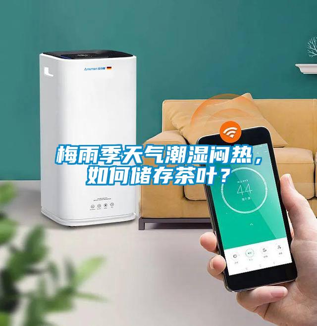梅雨季天氣潮濕悶熱，如何儲(chǔ)存茶葉？