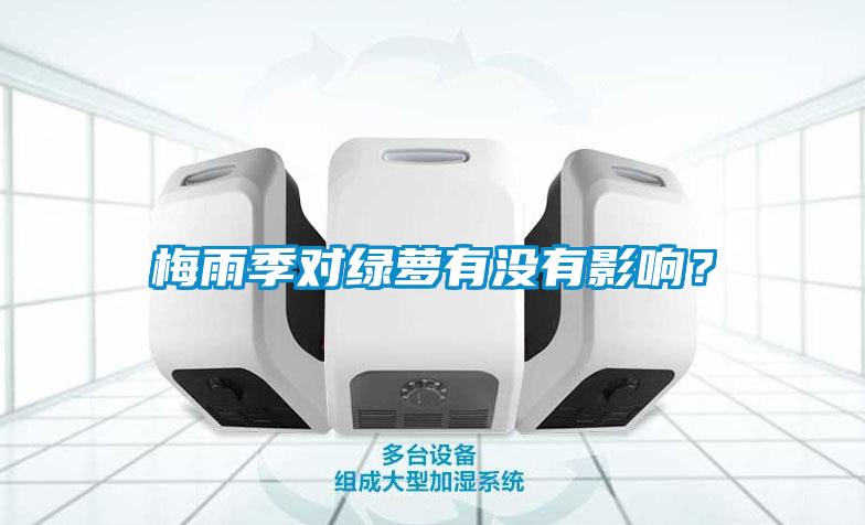 梅雨季對(duì)綠蘿有沒有影響？