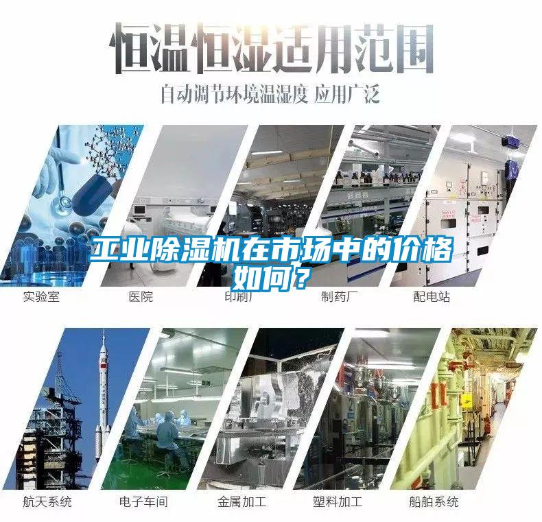工業除濕機在市場中的價格如何？