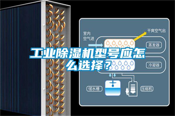 工業(yè)除濕機(jī)型號應(yīng)怎么選擇？