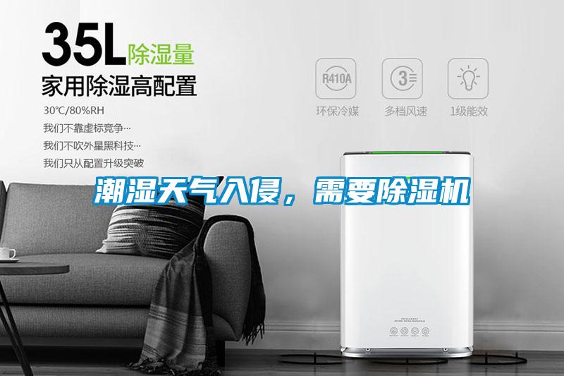 潮濕天氣入侵，需要除濕機
