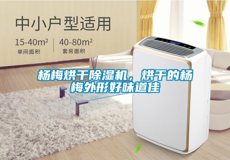 楊梅烘干除濕機，烘干的楊梅外形好味道佳