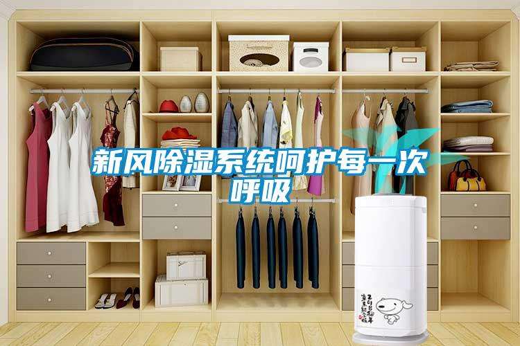新風除濕系統(tǒng)呵護每一次呼吸