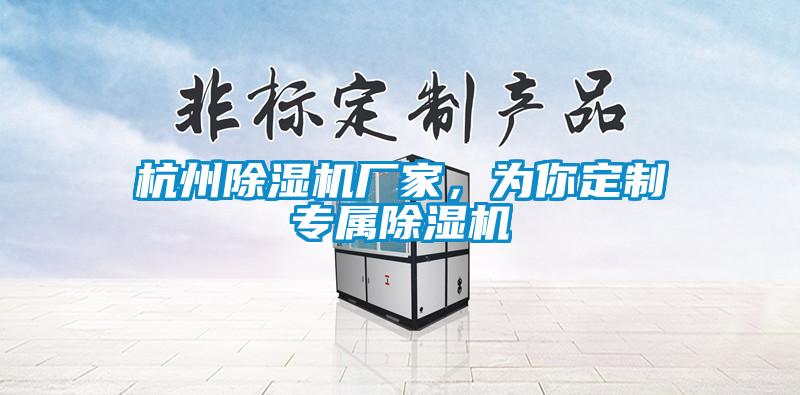 杭州除濕機(jī)廠家，為你定制專(zhuān)屬除濕機(jī)