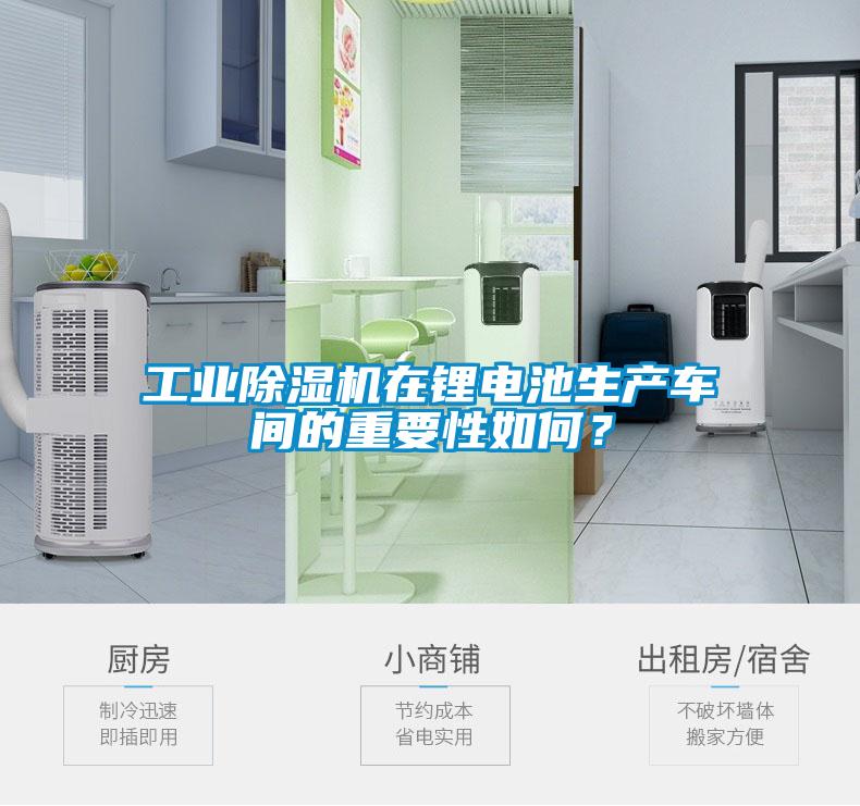 工業(yè)除濕機在鋰電池生產(chǎn)車間的重要性如何？