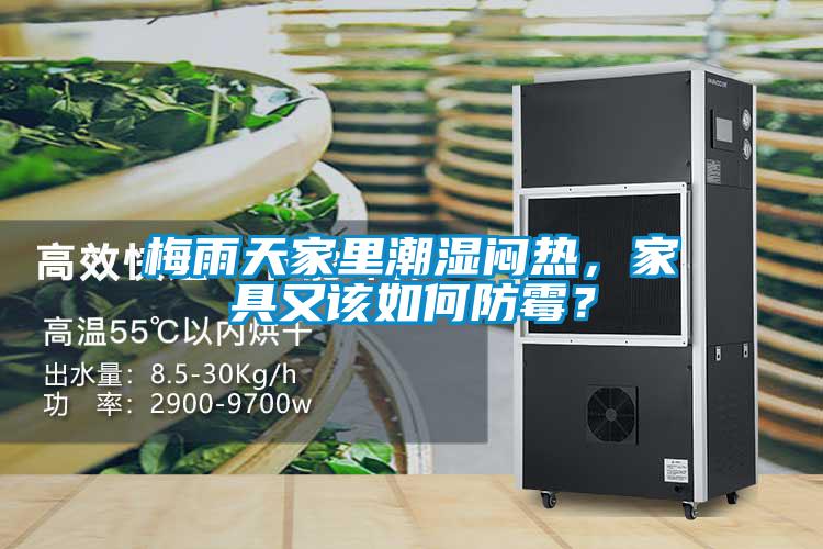 梅雨天家里潮濕悶熱，家具又該如何防霉？