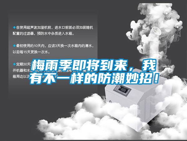 梅雨季即將到來(lái)，我有不一樣的防潮妙招！
