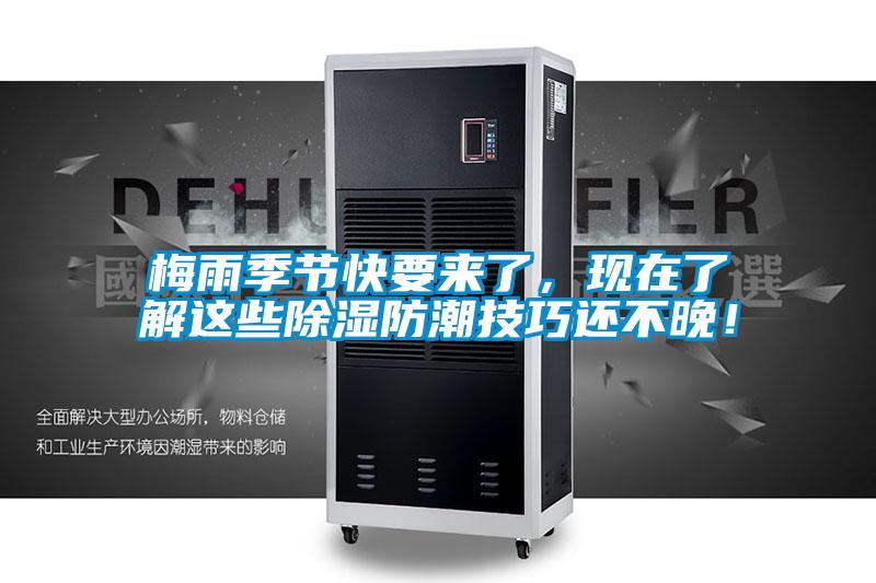 梅雨季節(jié)快要來(lái)了，現(xiàn)在了解這些除濕防潮技巧還不晚！