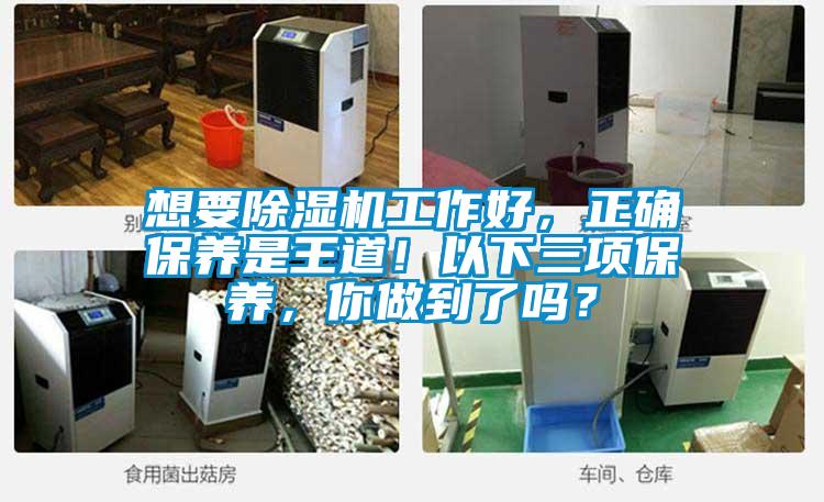 想要除濕機(jī)工作好，正確保養(yǎng)是王道！以下三項(xiàng)保養(yǎng)，你做到了嗎？