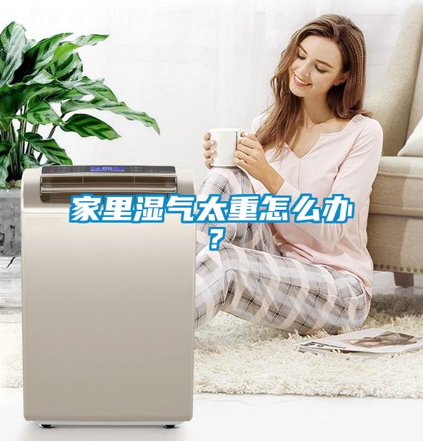 家里濕氣太重怎么辦？