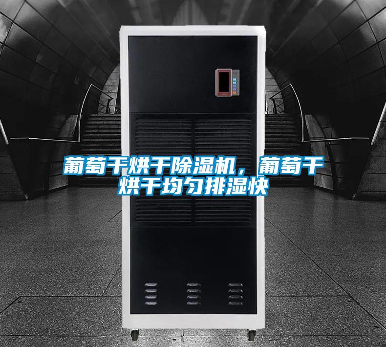 葡萄干烘干除濕機，葡萄干烘干均勻排濕快