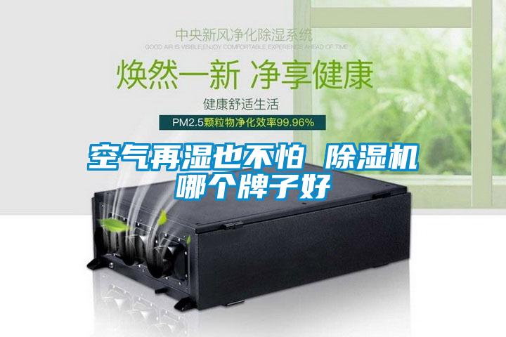 空氣再濕也不怕 除濕機(jī)哪個牌子好