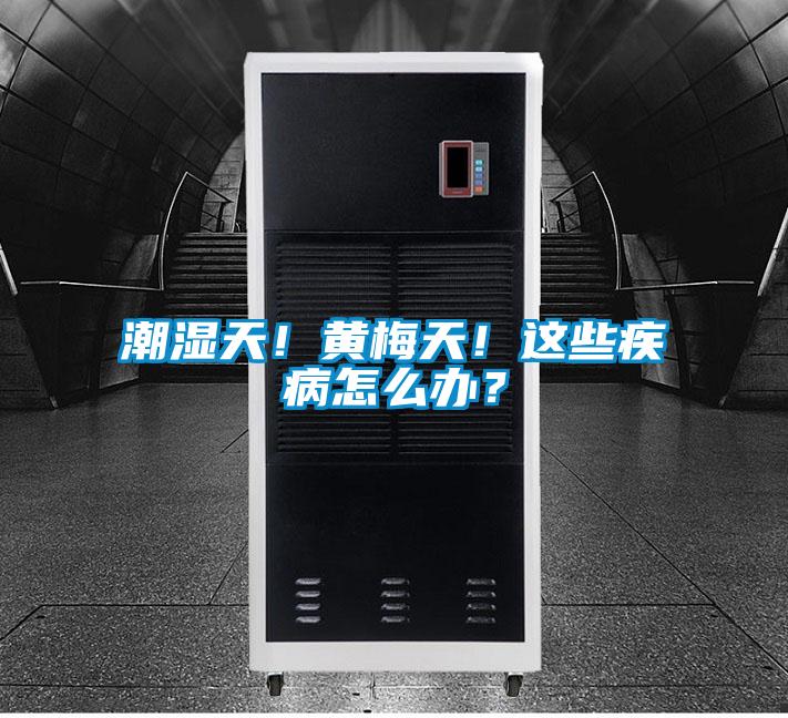 潮濕天！黃梅天！這些疾病怎么辦？