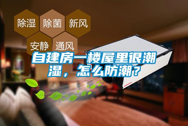 自建房一樓屋里很潮濕，怎么防潮？