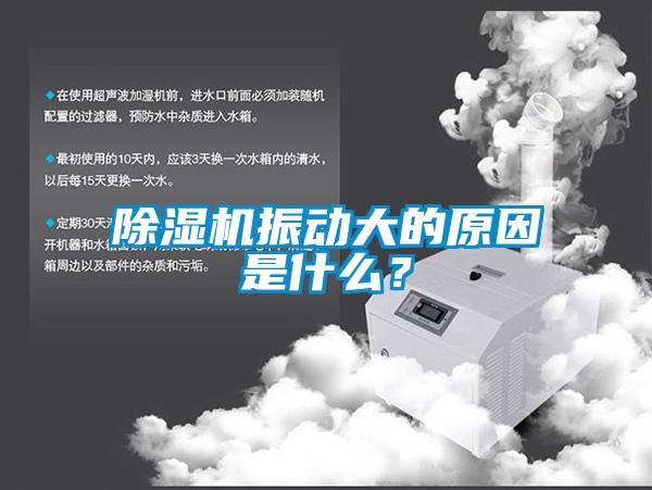 除濕機(jī)振動(dòng)大的原因是什么？