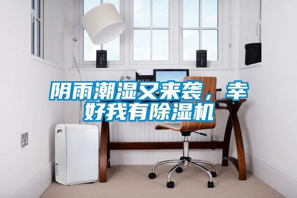 陰雨潮濕又來襲，幸好我有除濕機