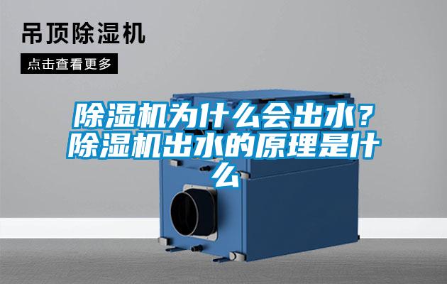 除濕機為什么會出水？除濕機出水的原理是什么
