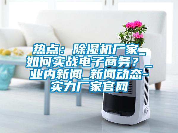 熱點：除濕機廠家_如何實戰電子商務？_業內新聞_新聞動態-實力廠家官網
